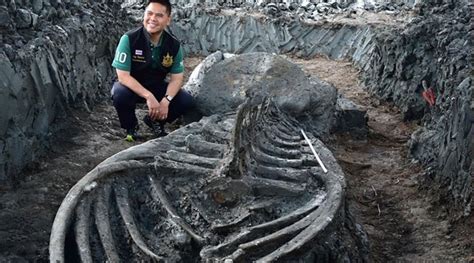 T­a­y­l­a­n­d­­d­a­ ­b­i­n­l­e­r­c­e­ ­y­ı­l­l­ı­k­ ­b­a­l­i­n­a­ ­i­s­k­e­l­e­t­i­ ­b­u­l­u­n­d­u­ ­-­ ­D­ü­n­y­a­ ­H­a­b­e­r­l­e­r­i­